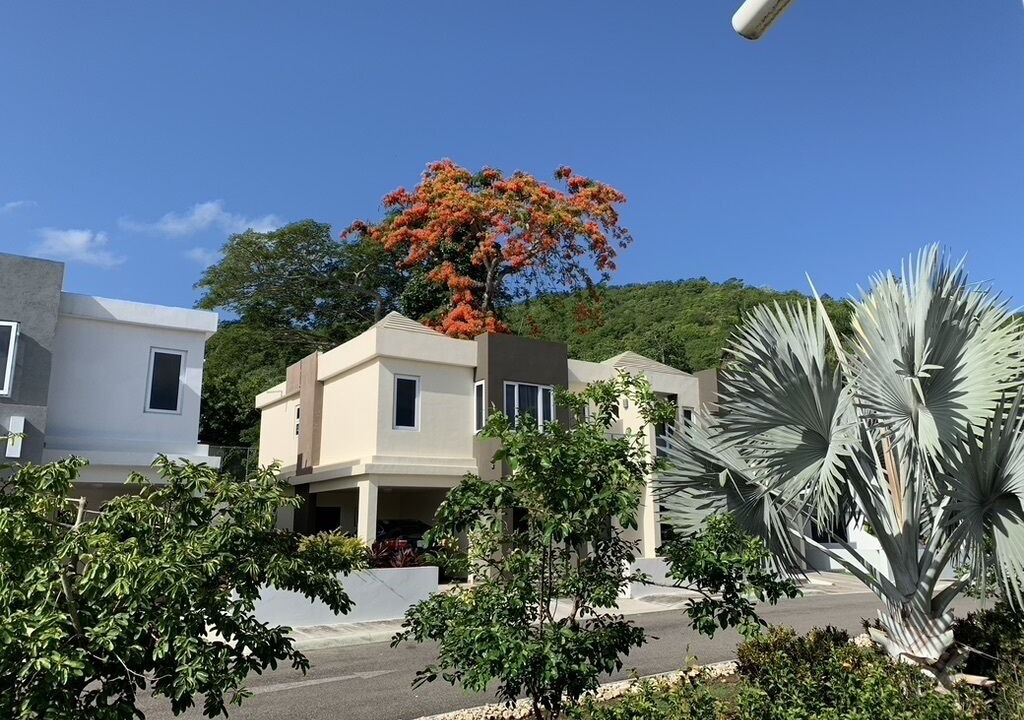 Photo of Outdoor in Albion