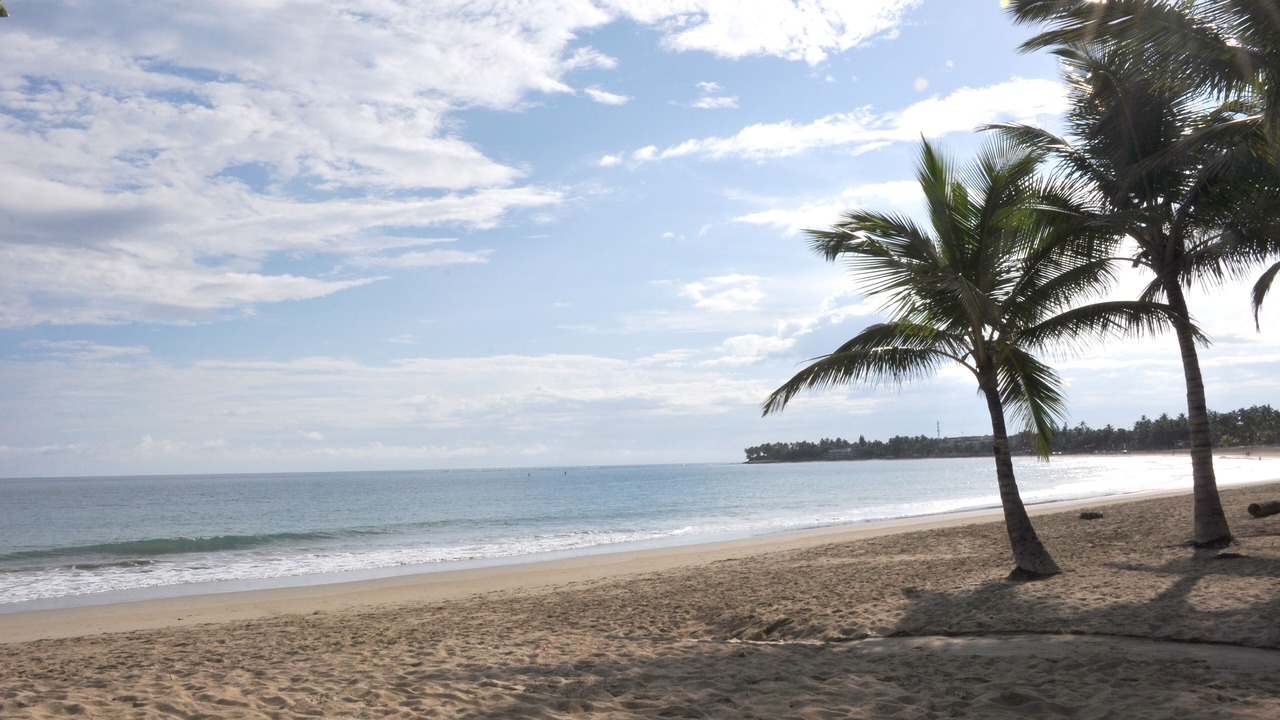 Photo of Others in Cabarete
