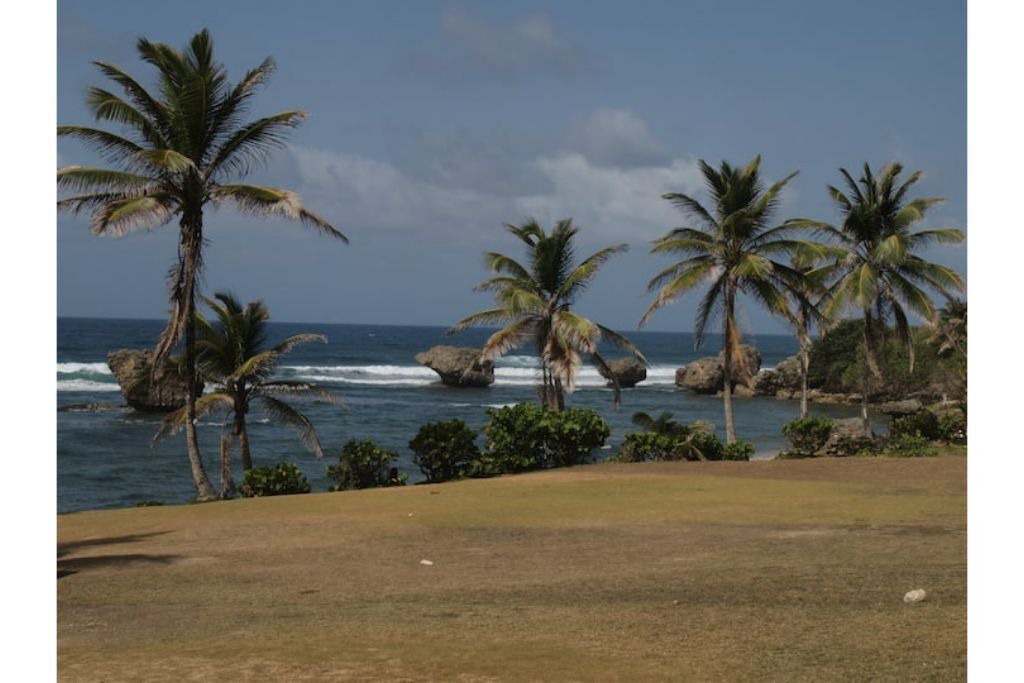 Photo of Others in Marine Gardens