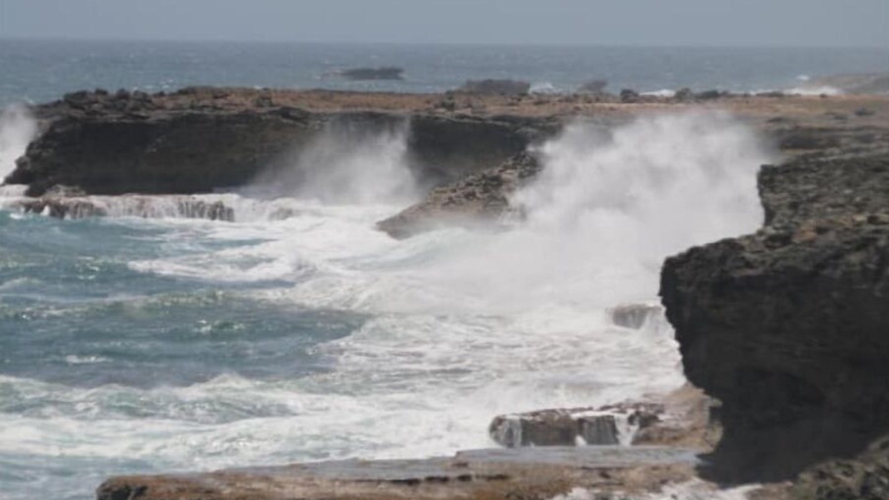 Photo of Outdoor in Marine Gardens