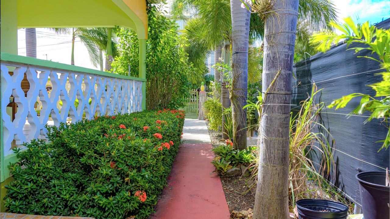 Photo of Outdoor in Cades Bay