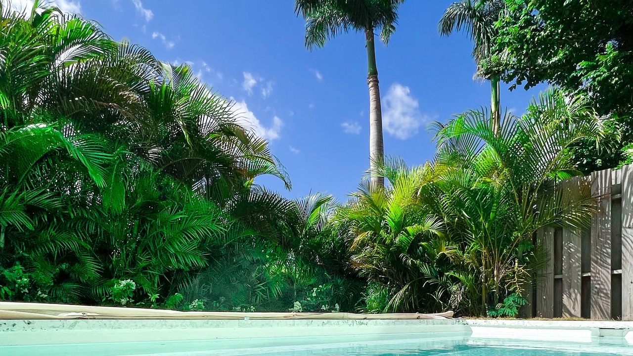 Photo of Outdoor in Los Lagos