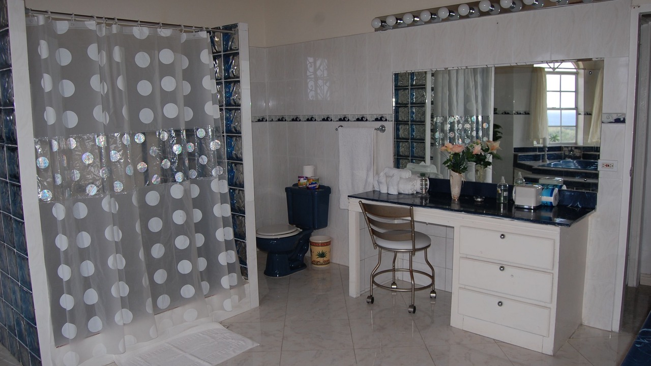 Photo of Bathroom in IronShore Estates