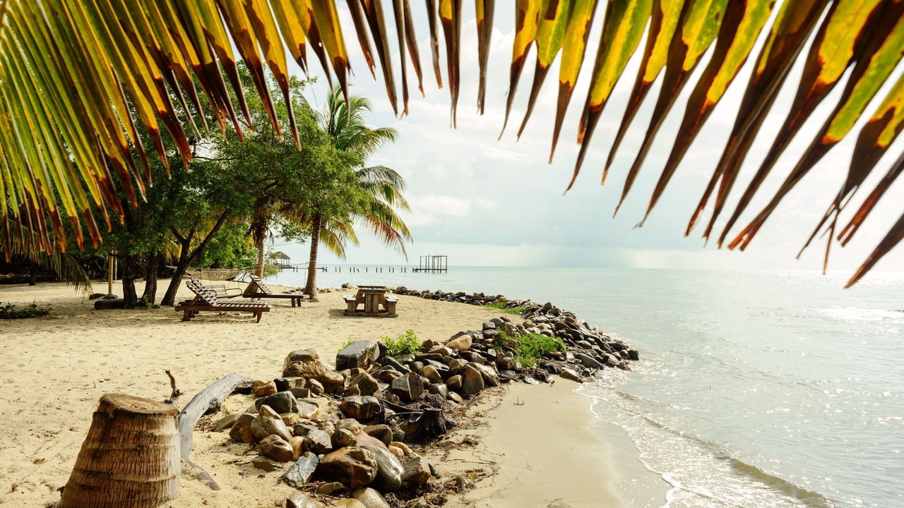 Photo of Others in Caribbean Way