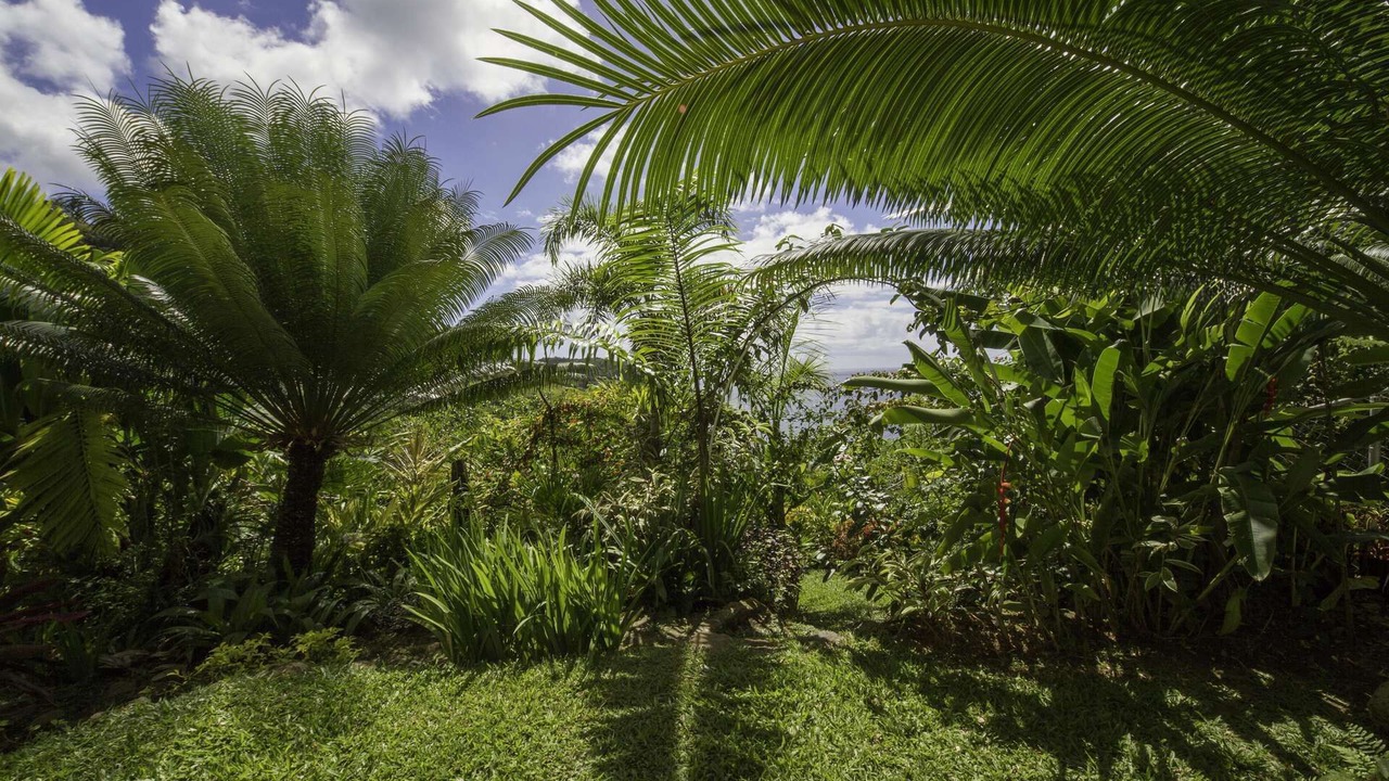 Photo of Outdoor in Marigot Bay