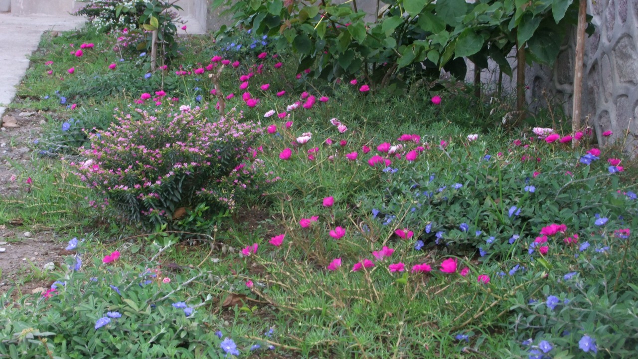 Photo of Outdoor in Soufriere Quarter
