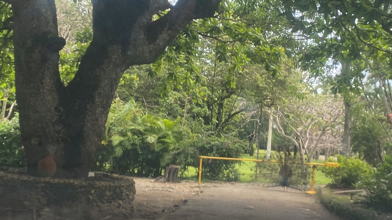 Photo of Others in Cabarete