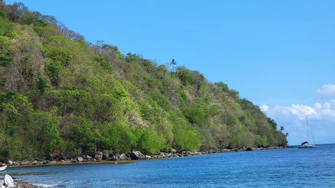 Photo of Others in Choiseul
