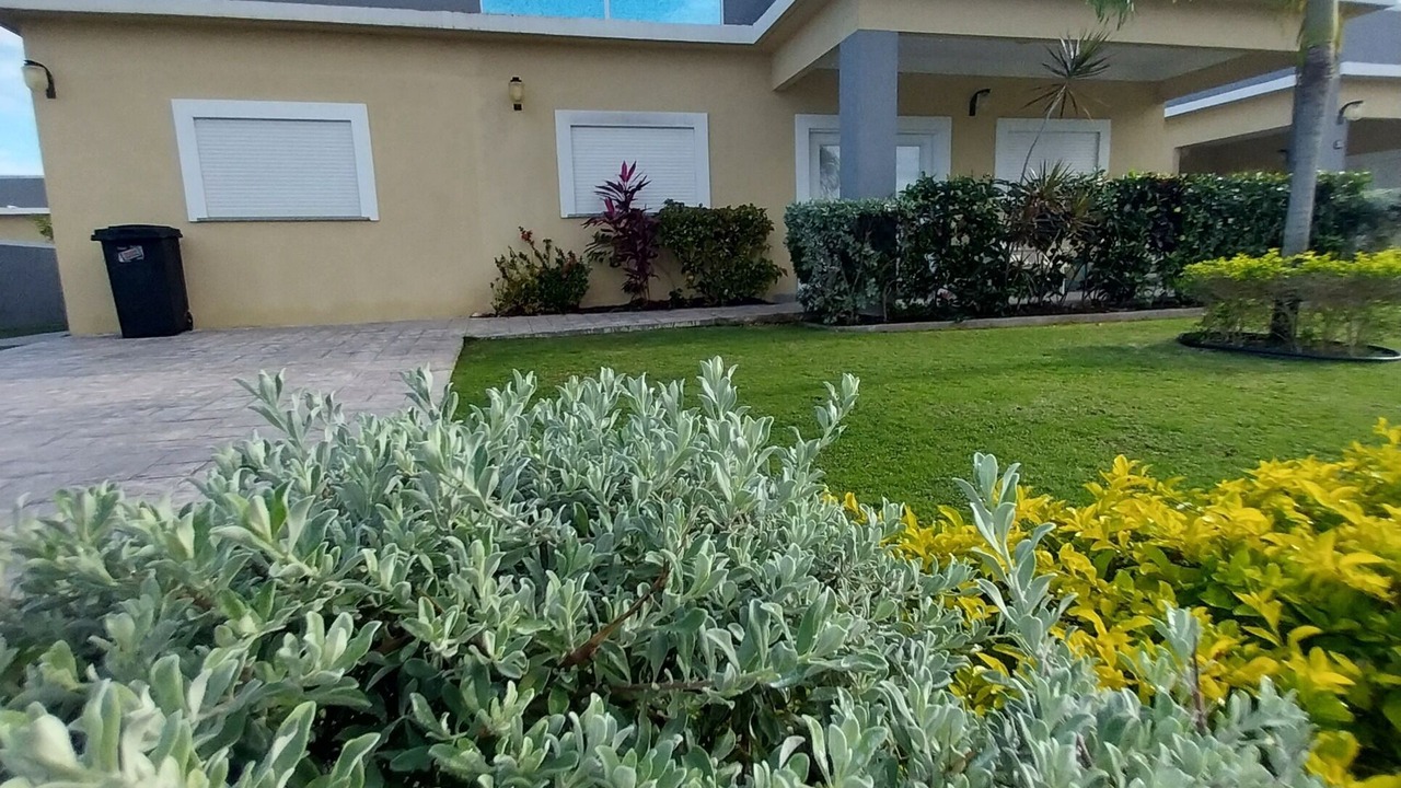 Photo of Outdoor in St. Ann's Bay