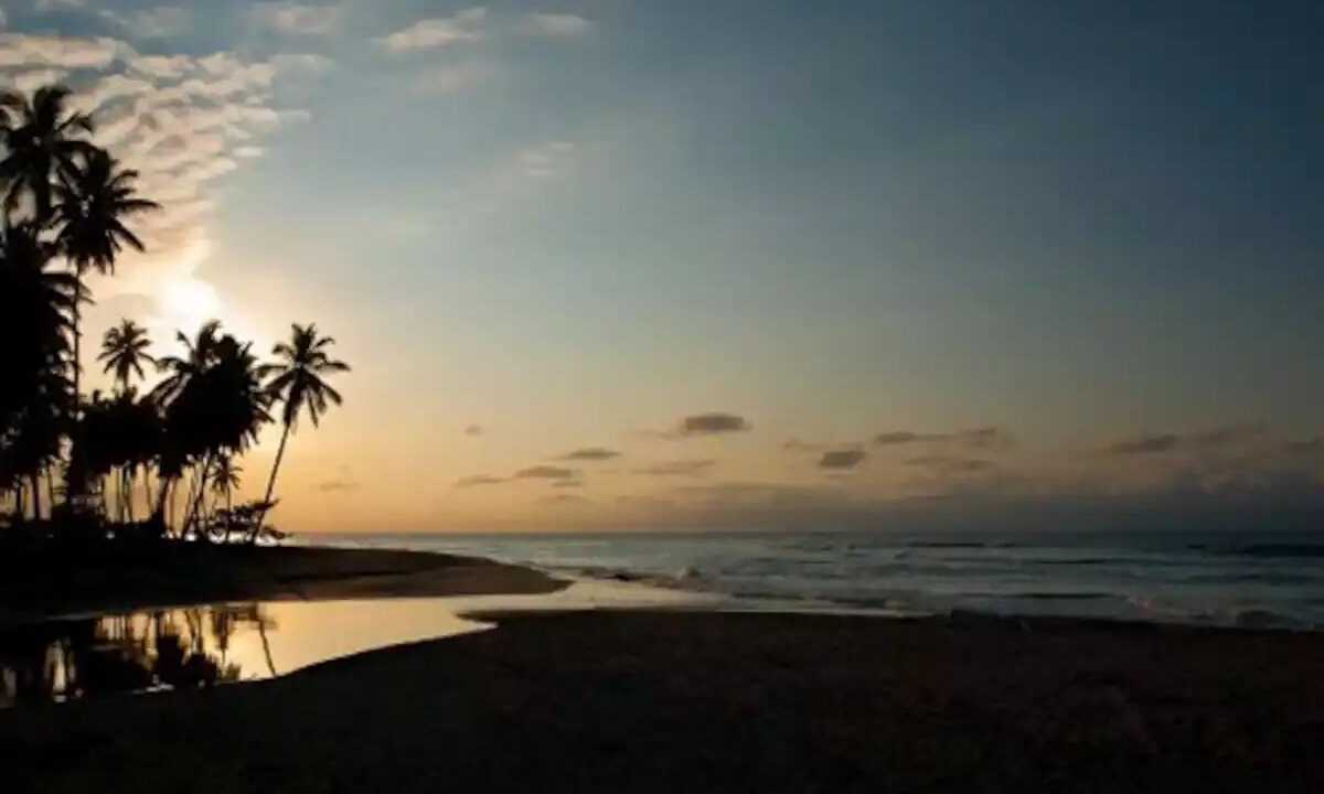 Photo of Others in Puerto Bahia
