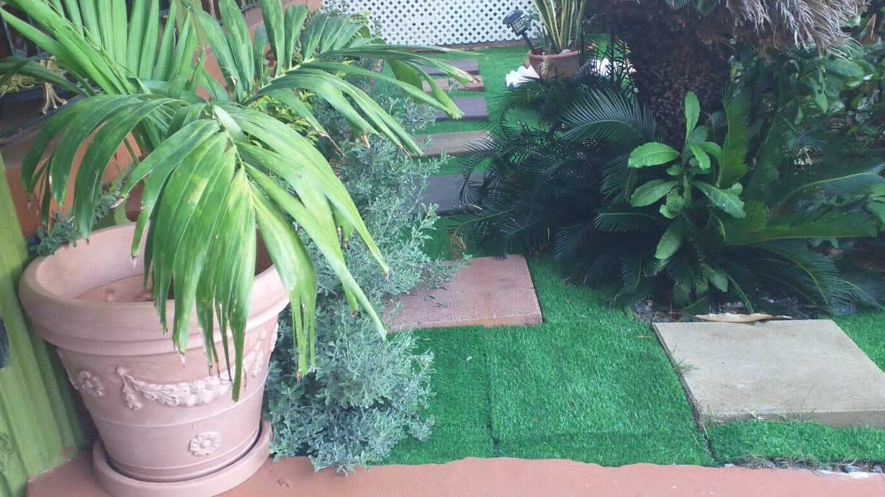 Photo of Outdoor in Portmore