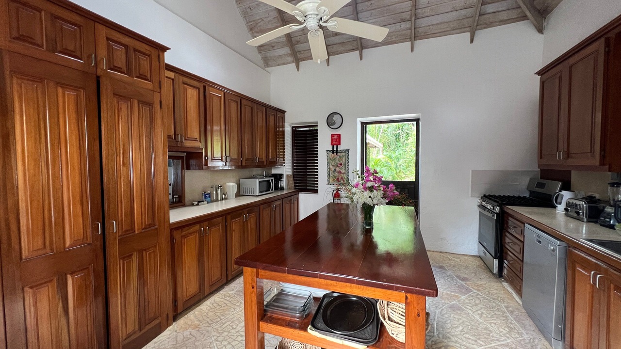 Photo of Kitchen in Soufriere