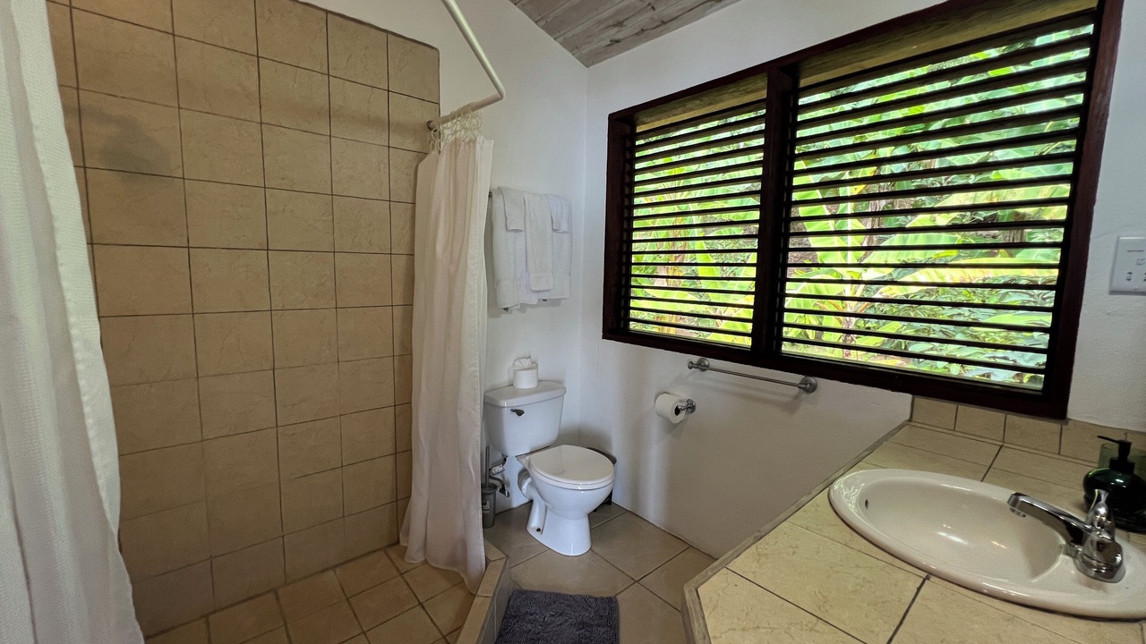Photo of Bathroom in Soufriere