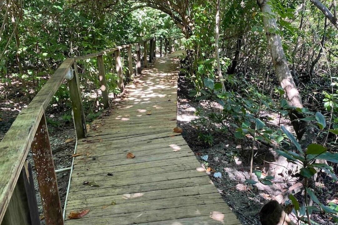 Photo of Outdoor in Marigot Bay