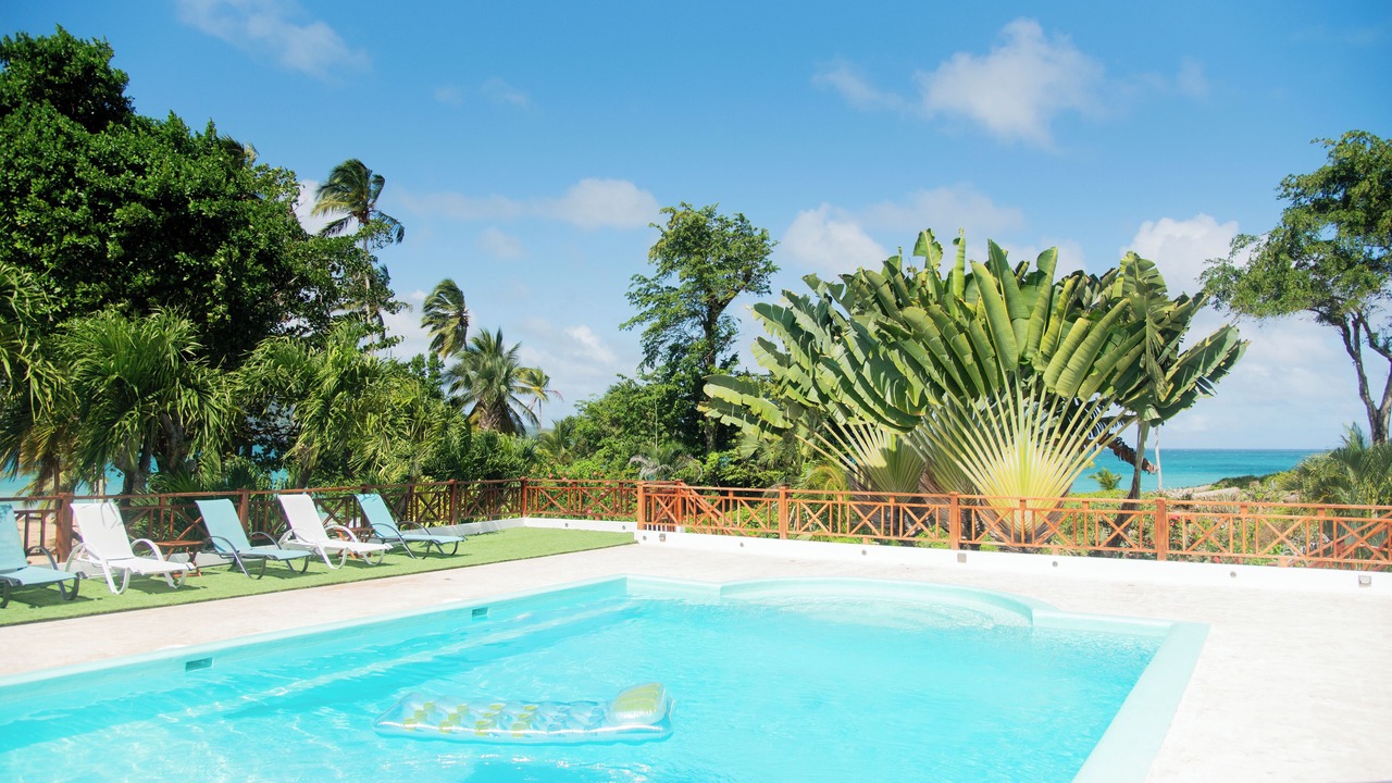 Photo of Others in Las Galeras
