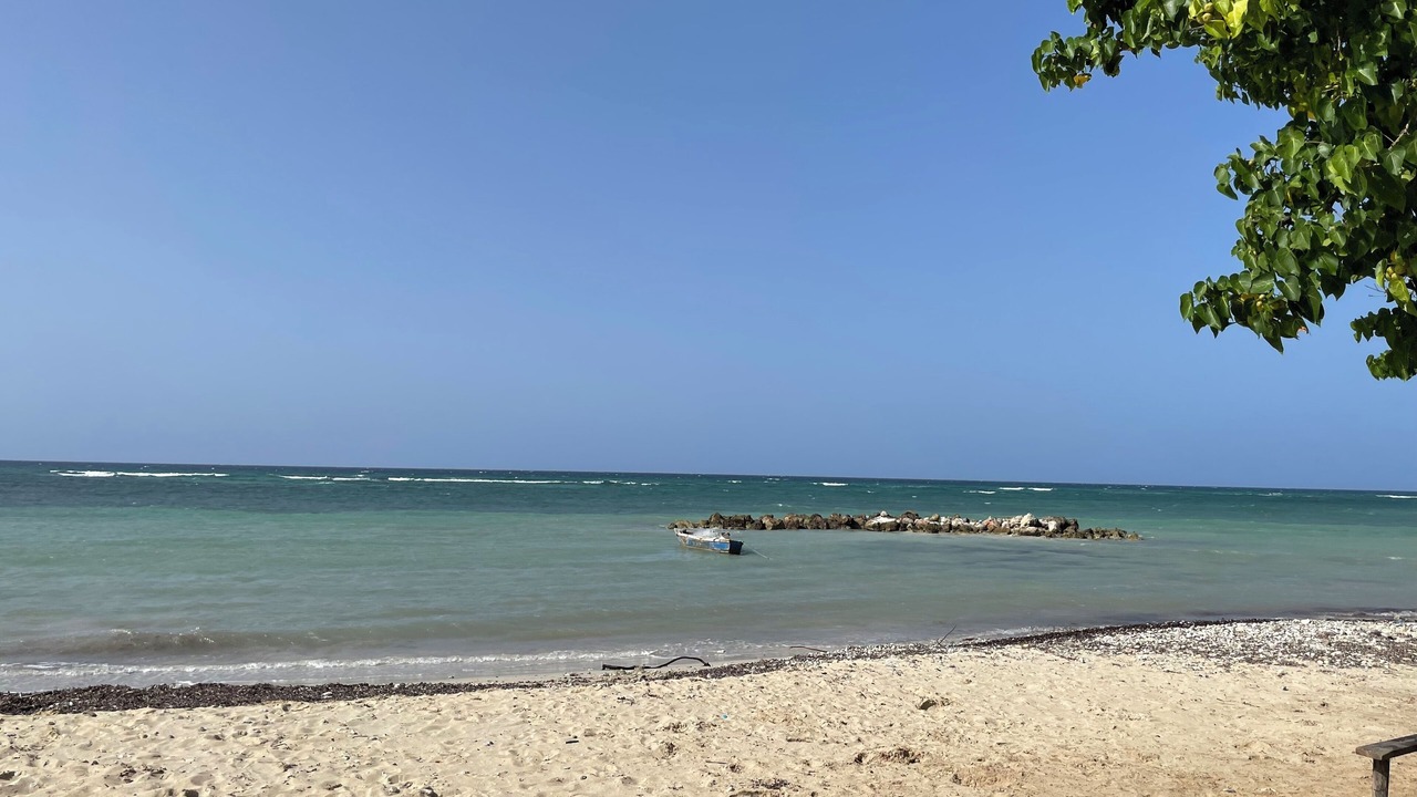 Photo of Others in Montego Bay