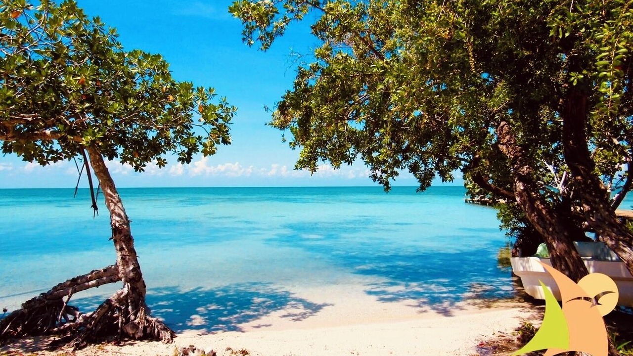 Photo of Others in Sarteneja