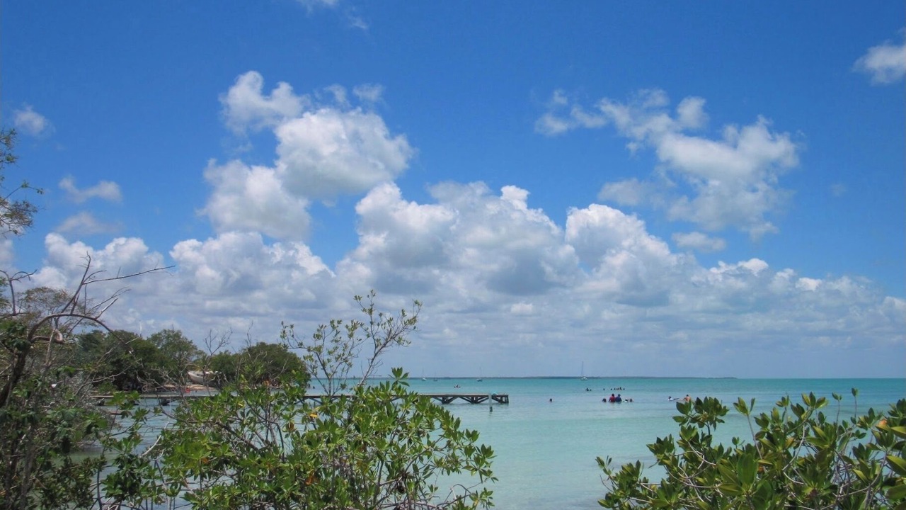 Photo of Others in Sarteneja