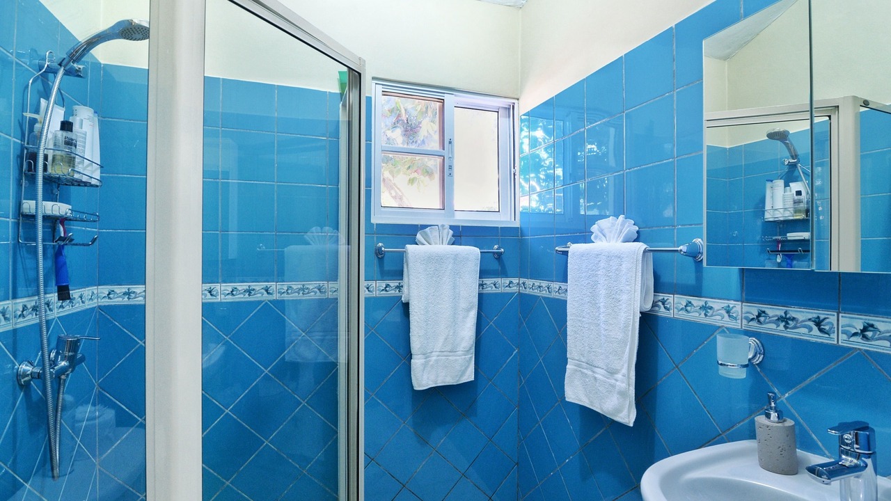 Photo of Bathroom in Urbanizacion Tavarez