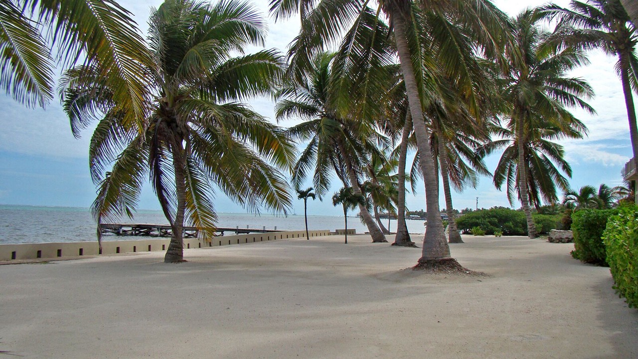 Photo of Others in San Pedro