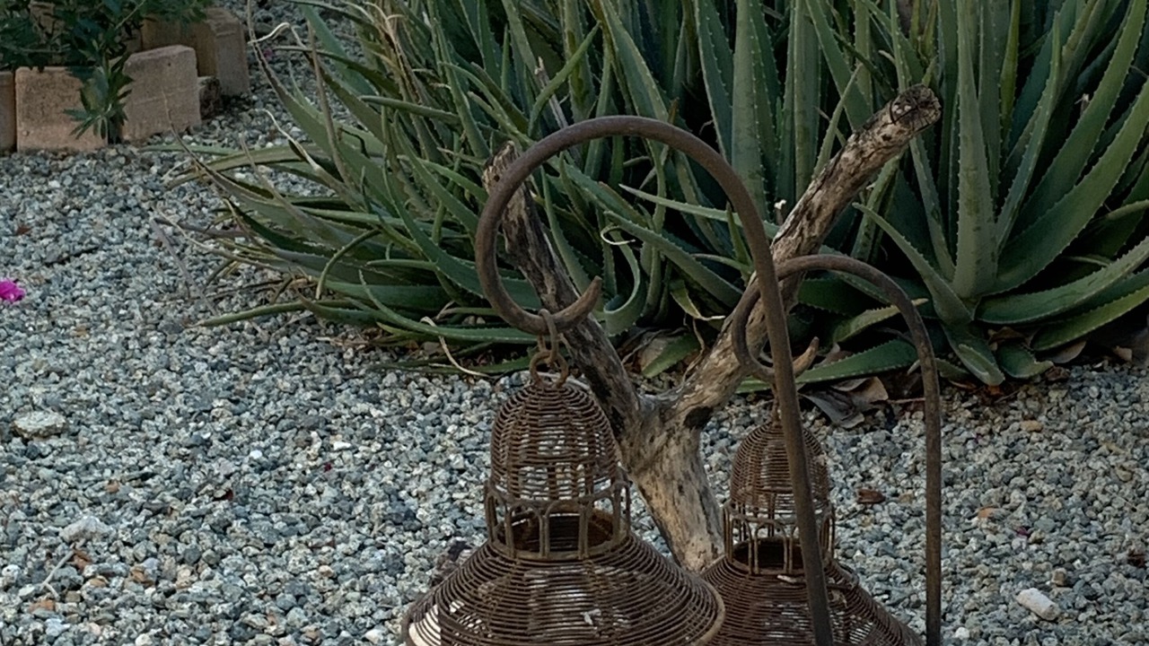 Photo of Outdoor in Opal