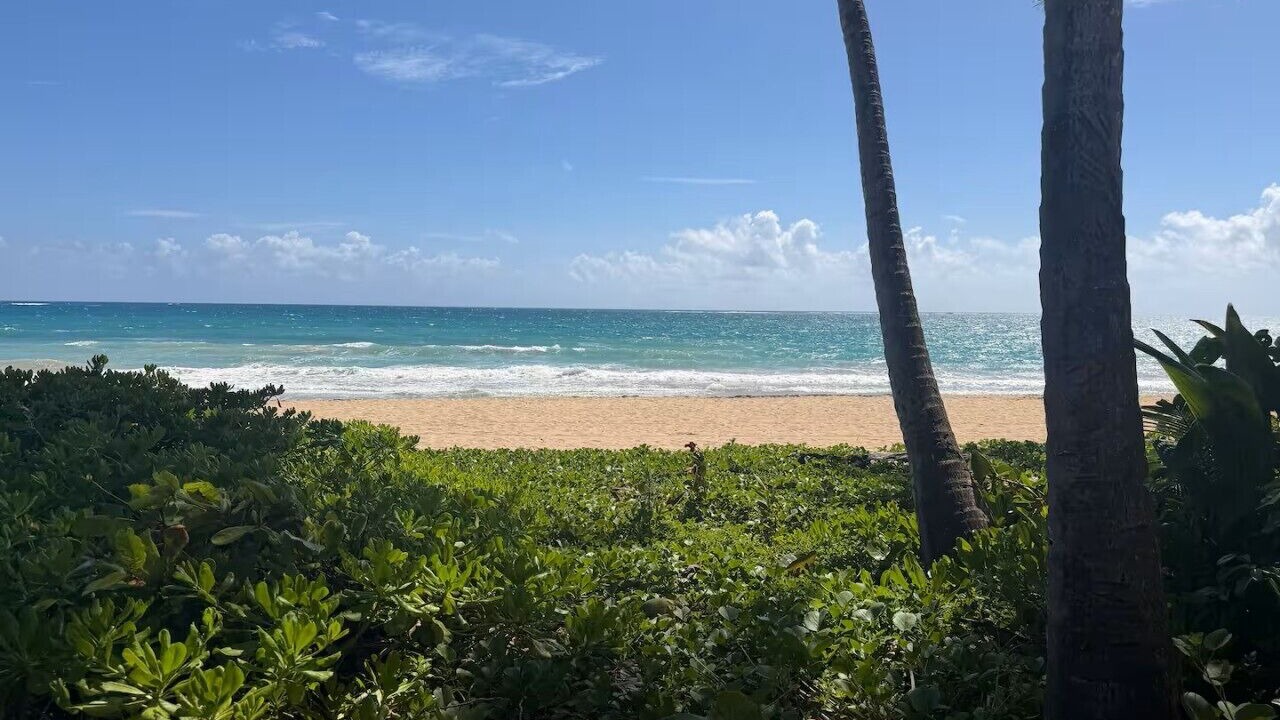 Photo of Others in Condado