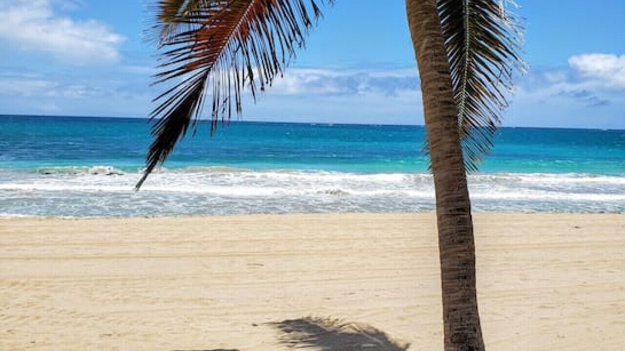 Photo of Others in Condado