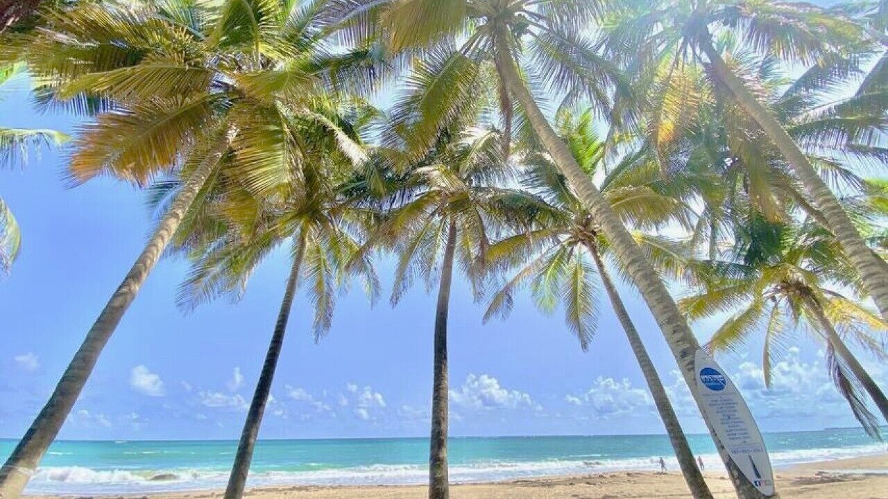Photo of Others in Condado