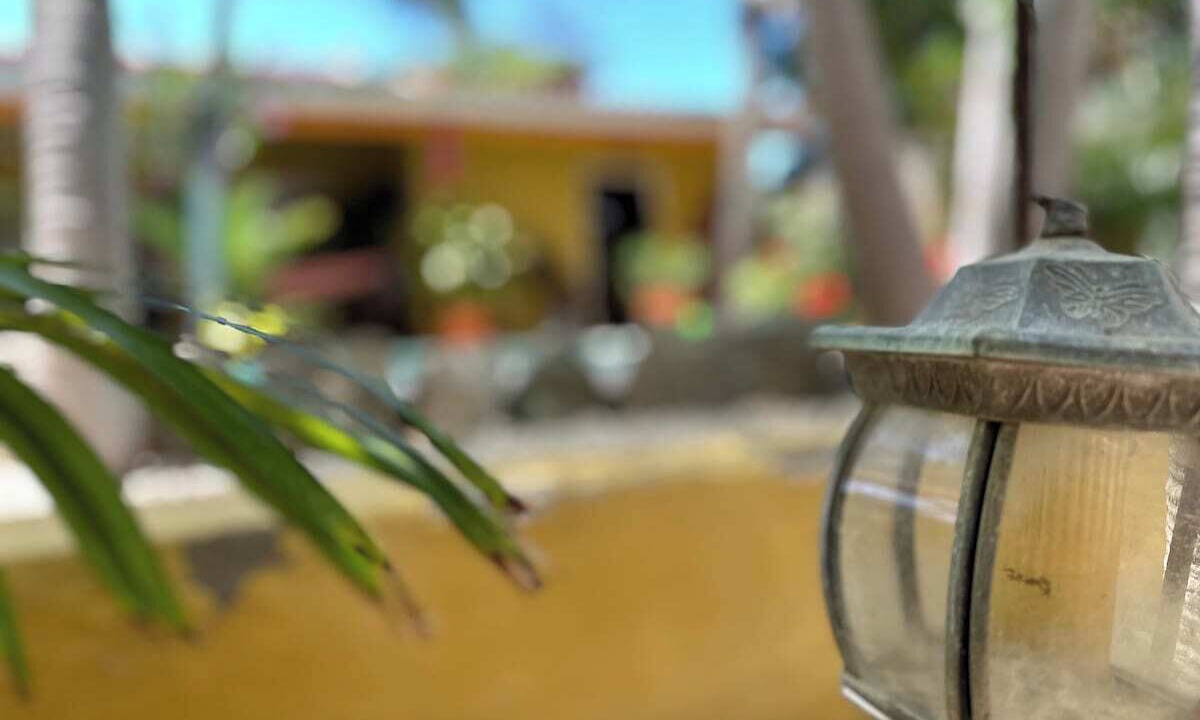 Photo of Outdoor in Savaneta