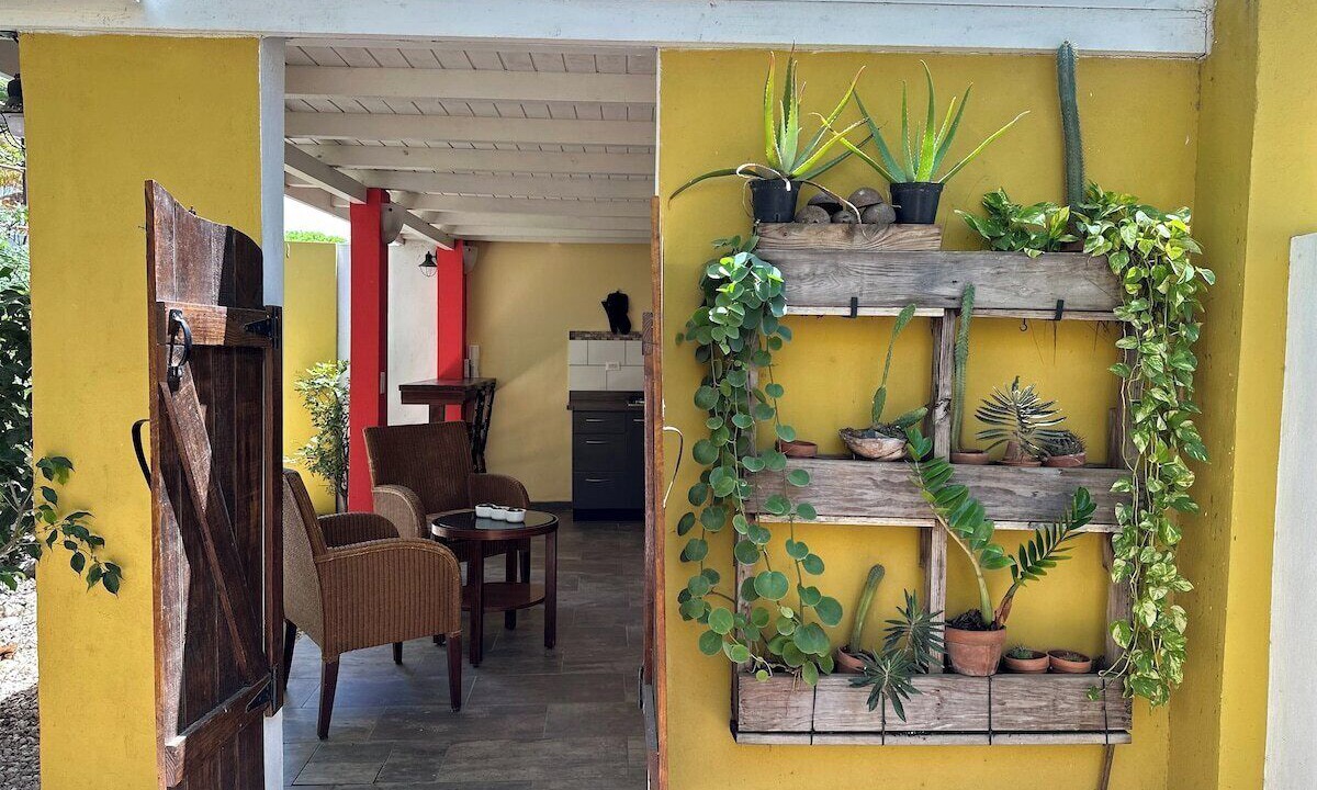 Photo of Outdoor in Savaneta