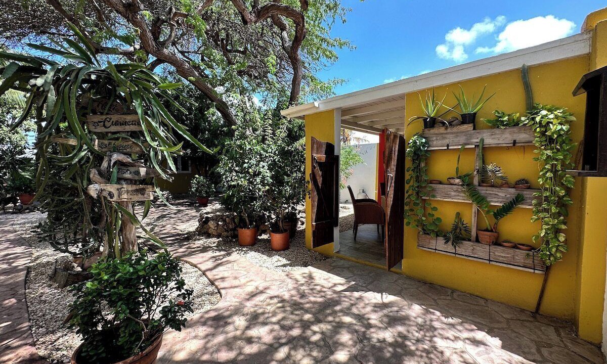 Photo of Outdoor in Savaneta