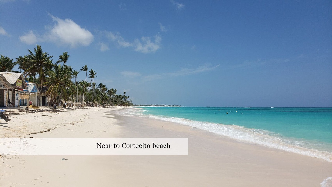 Photo of Others in Punta Cana