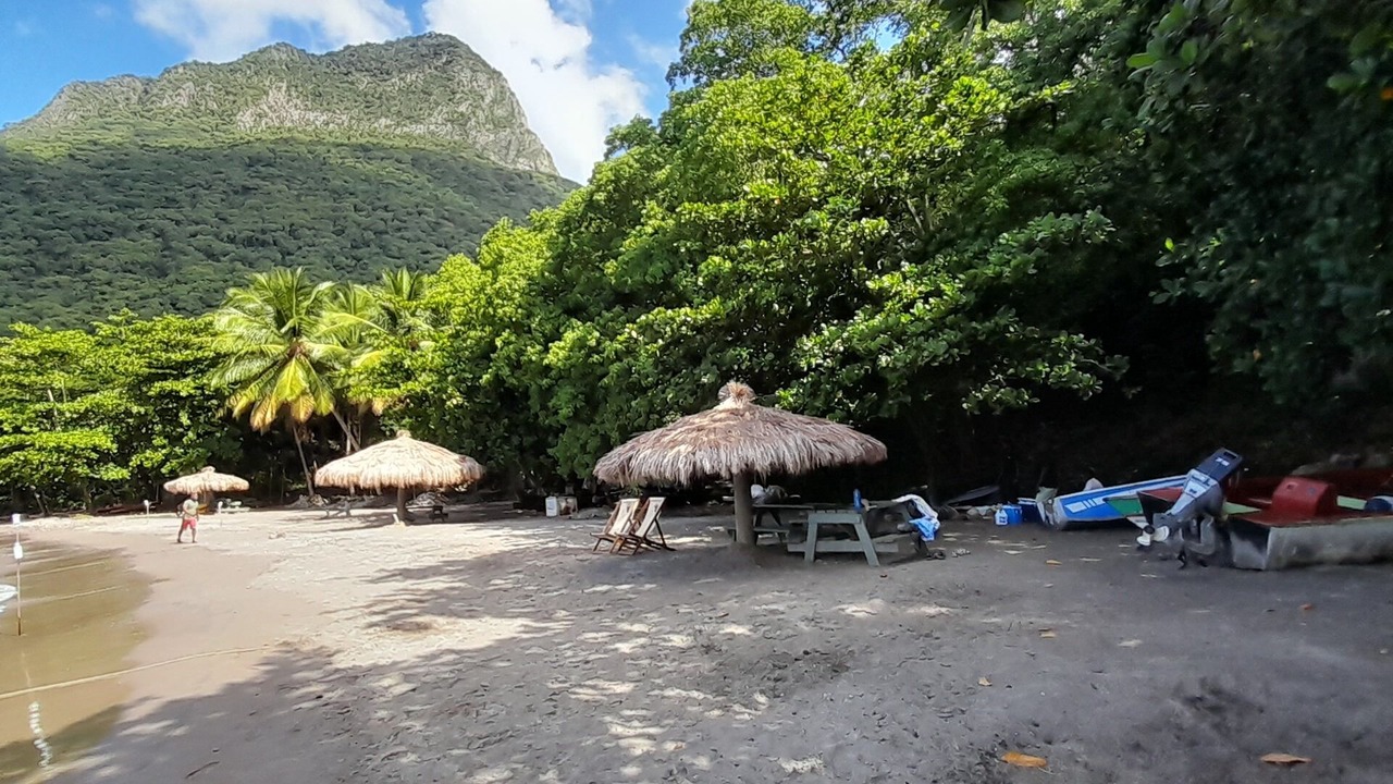 Photo of Others in La Fargue