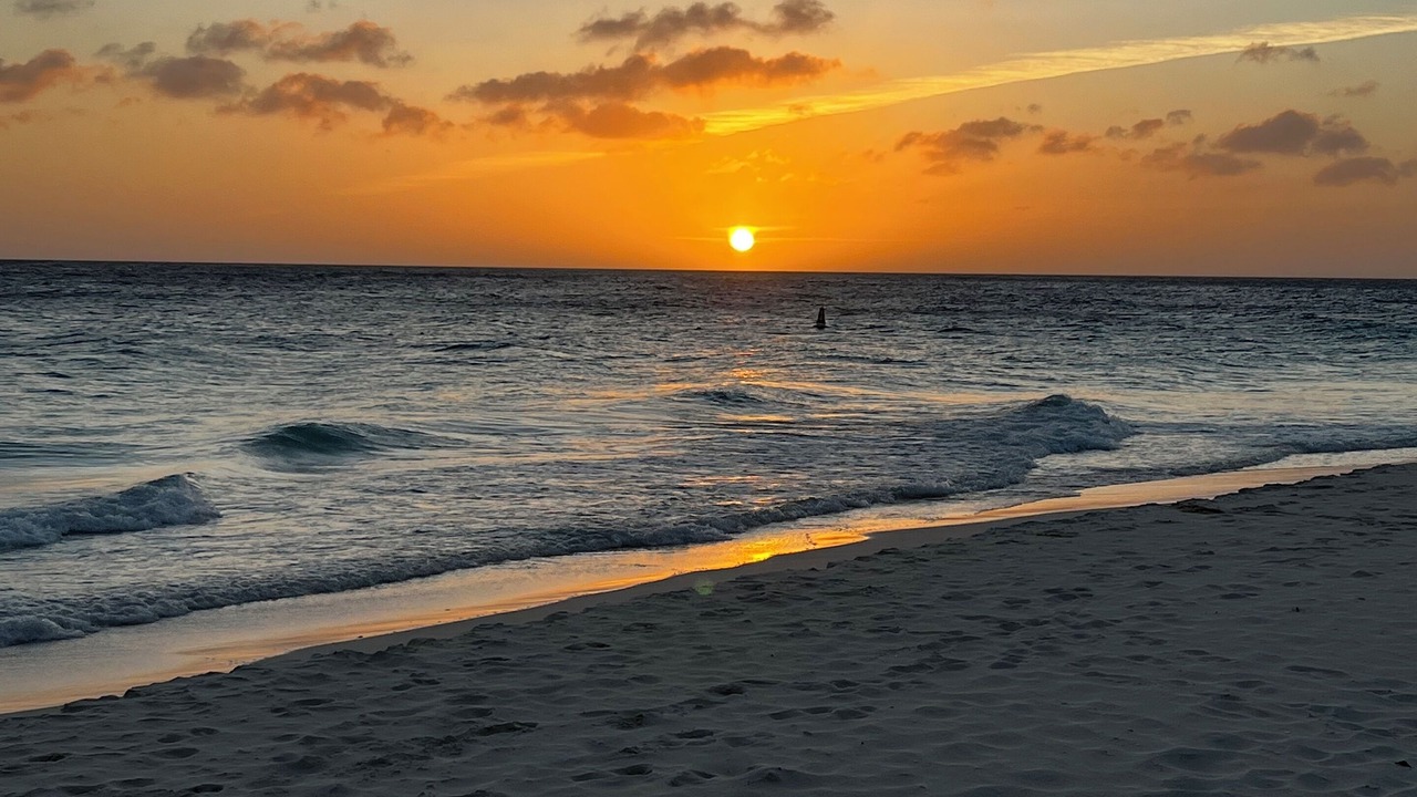 Photo of Others in Oranjestad-West