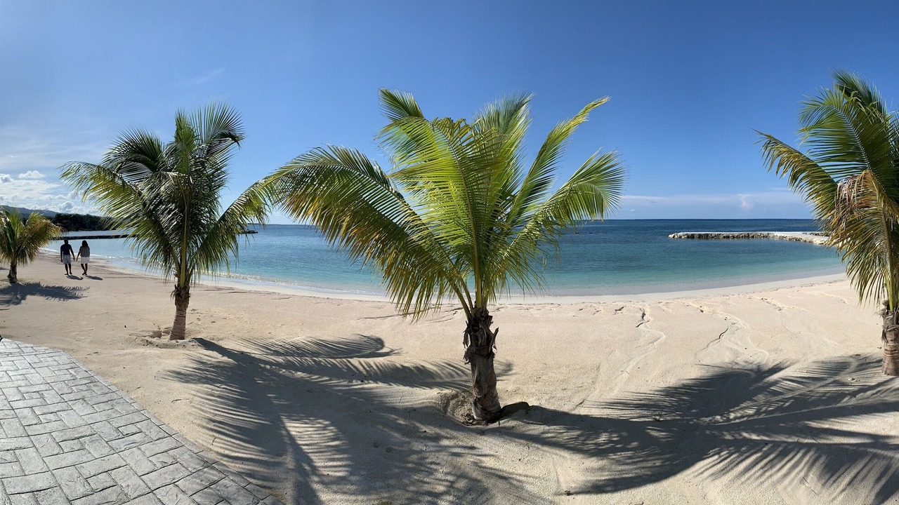 Photo of Others in St. Ann's Bay