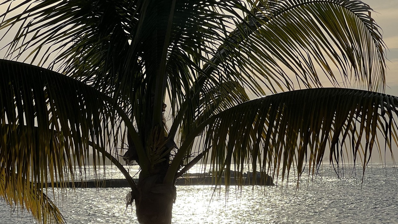 Photo of Others in St. Ann's Bay