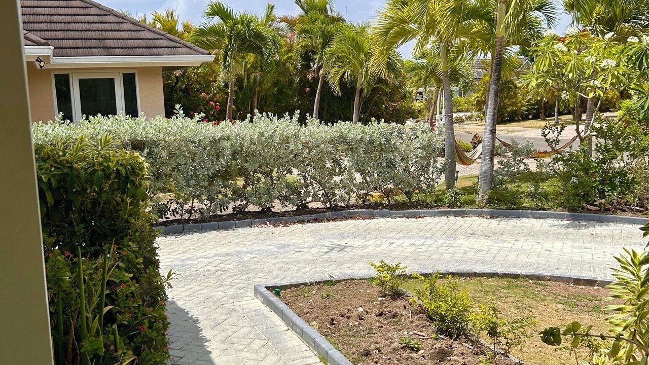 Photo of Outdoor in St. Ann's Bay