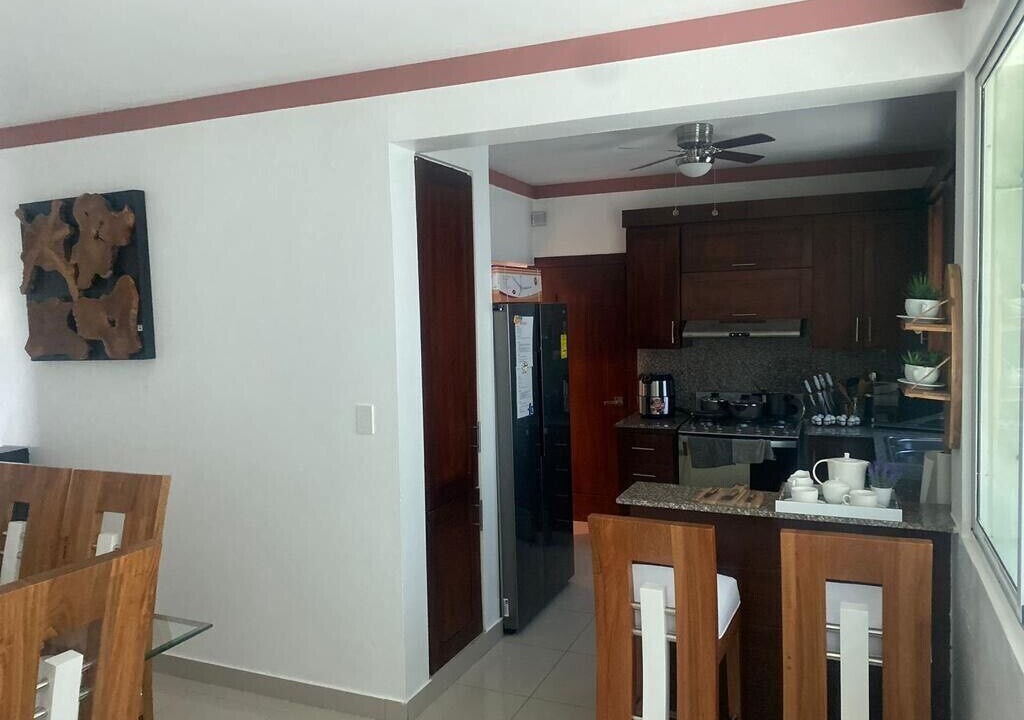 Photo of Kitchen in Santiago Province