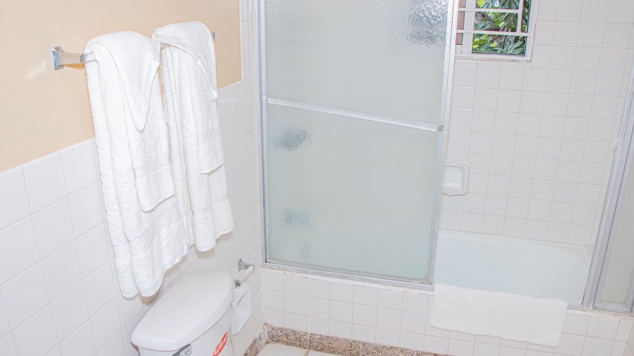 Photo of Bathroom in Montego Bay