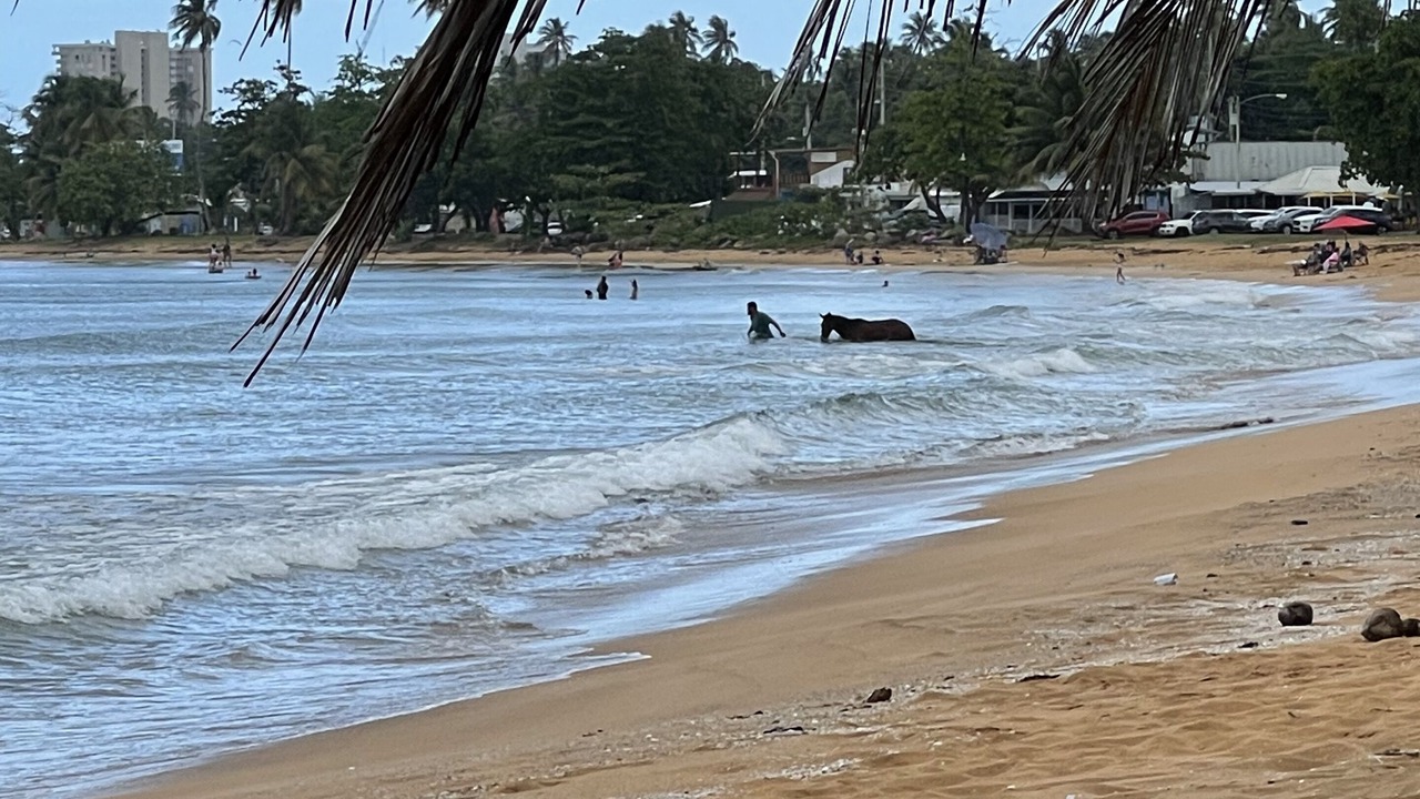 Photo of Others in Playa Fortuna