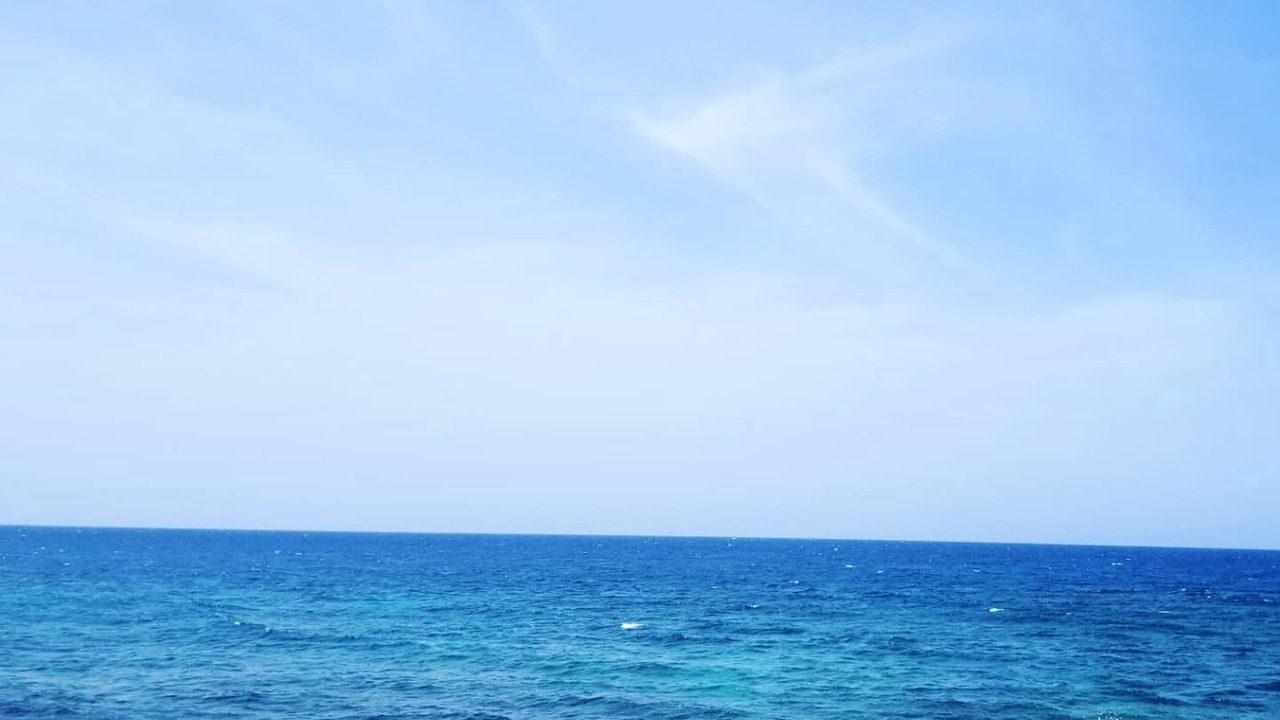 Photo of Others in Runaway Bay