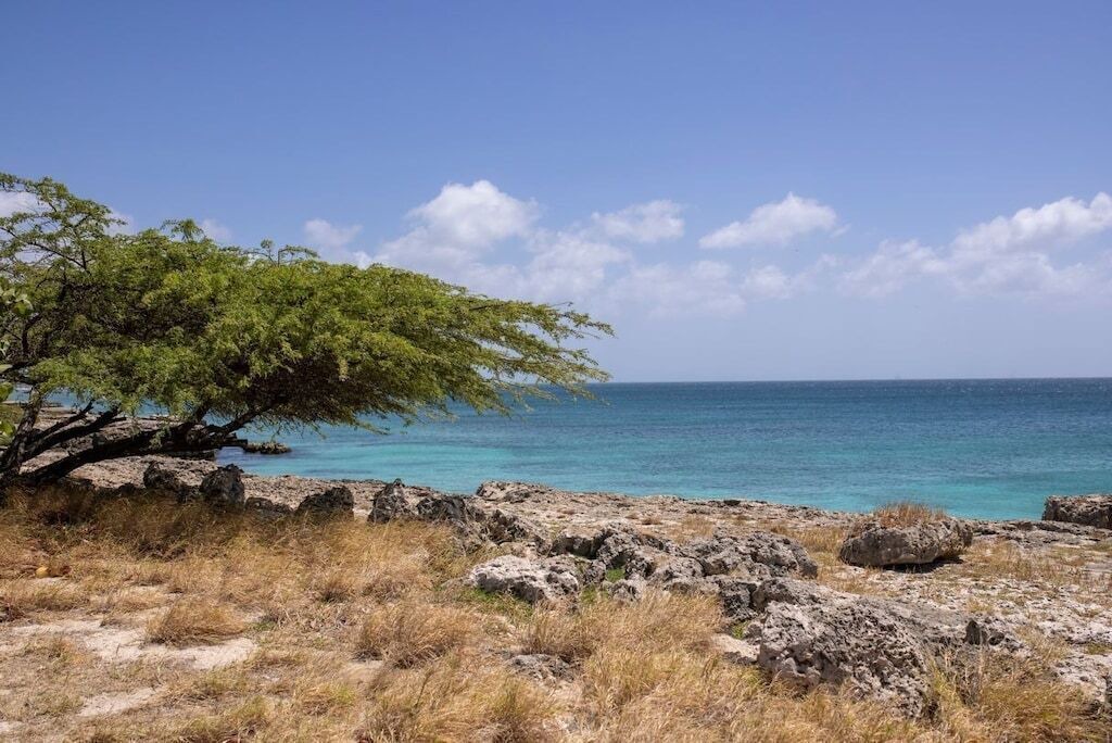 Photo of Others in Palm Beach