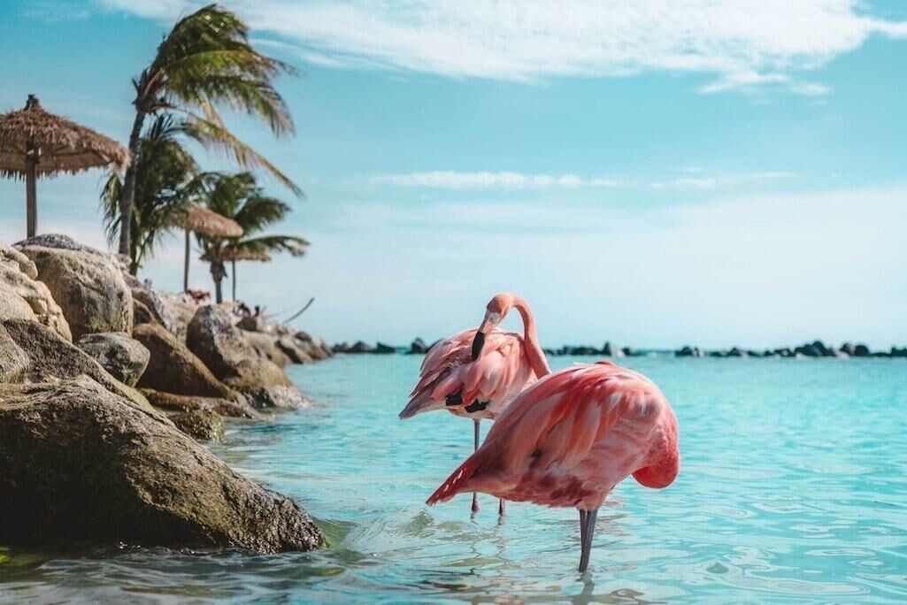 Photo of Others in Palm Beach