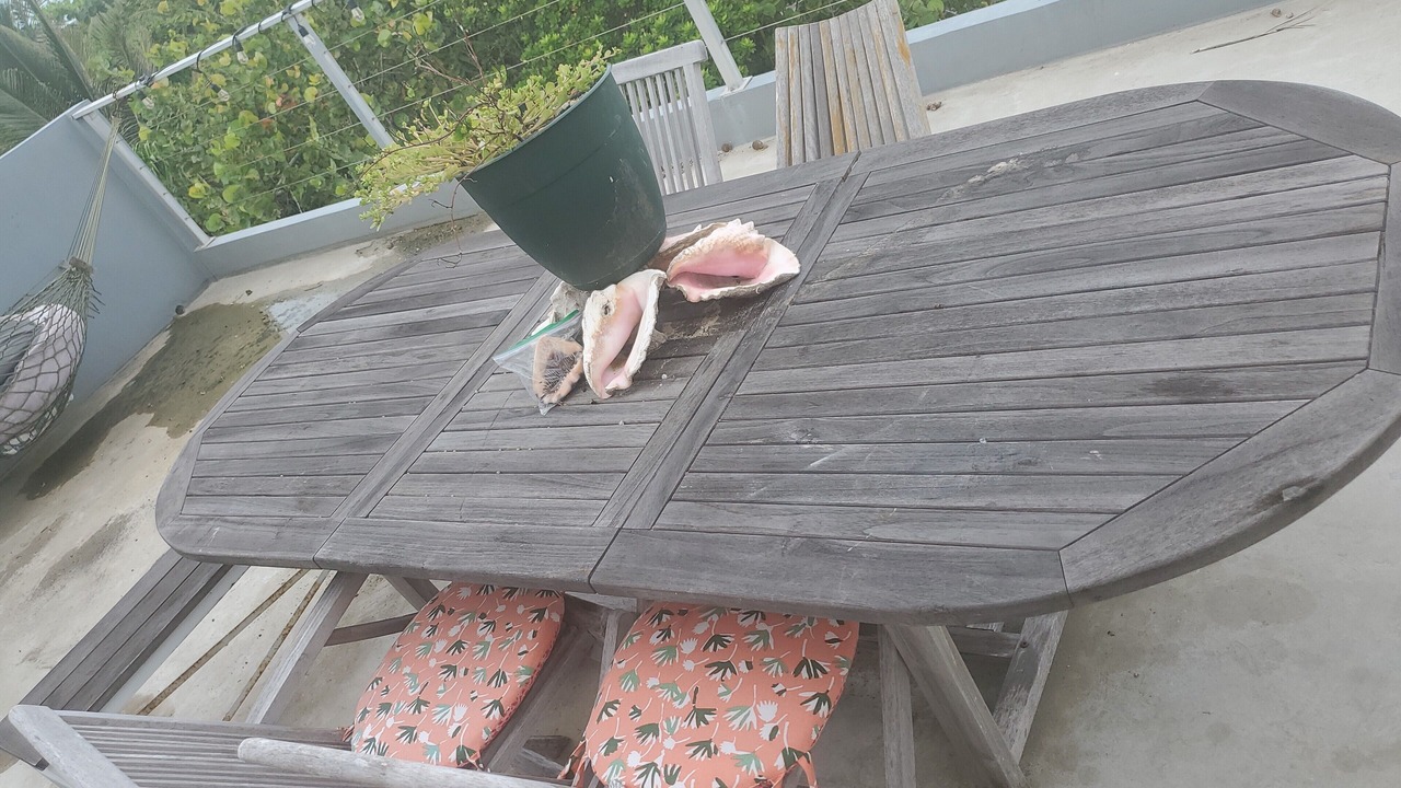 Photo of Outdoor in San Pedro