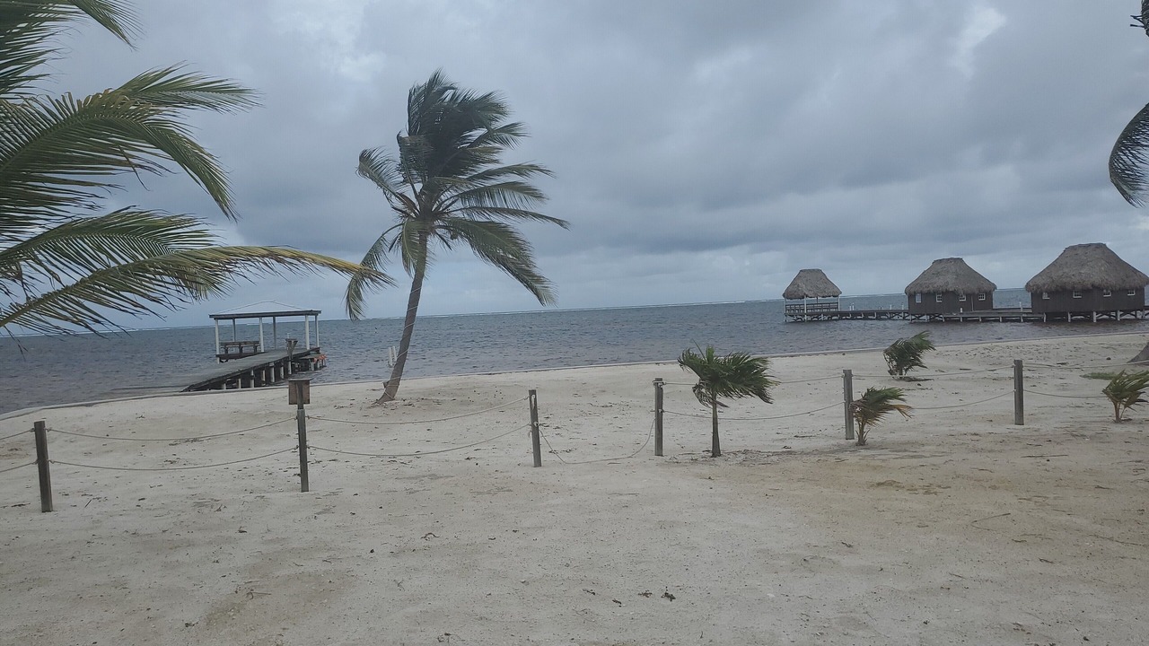 Photo of Others in San Pedro