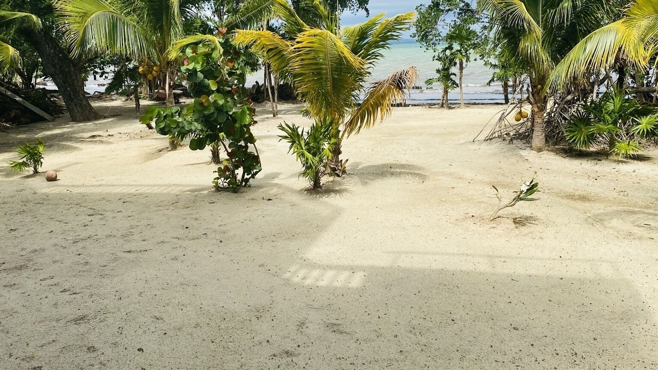 Photo of Others in Sittee River Village