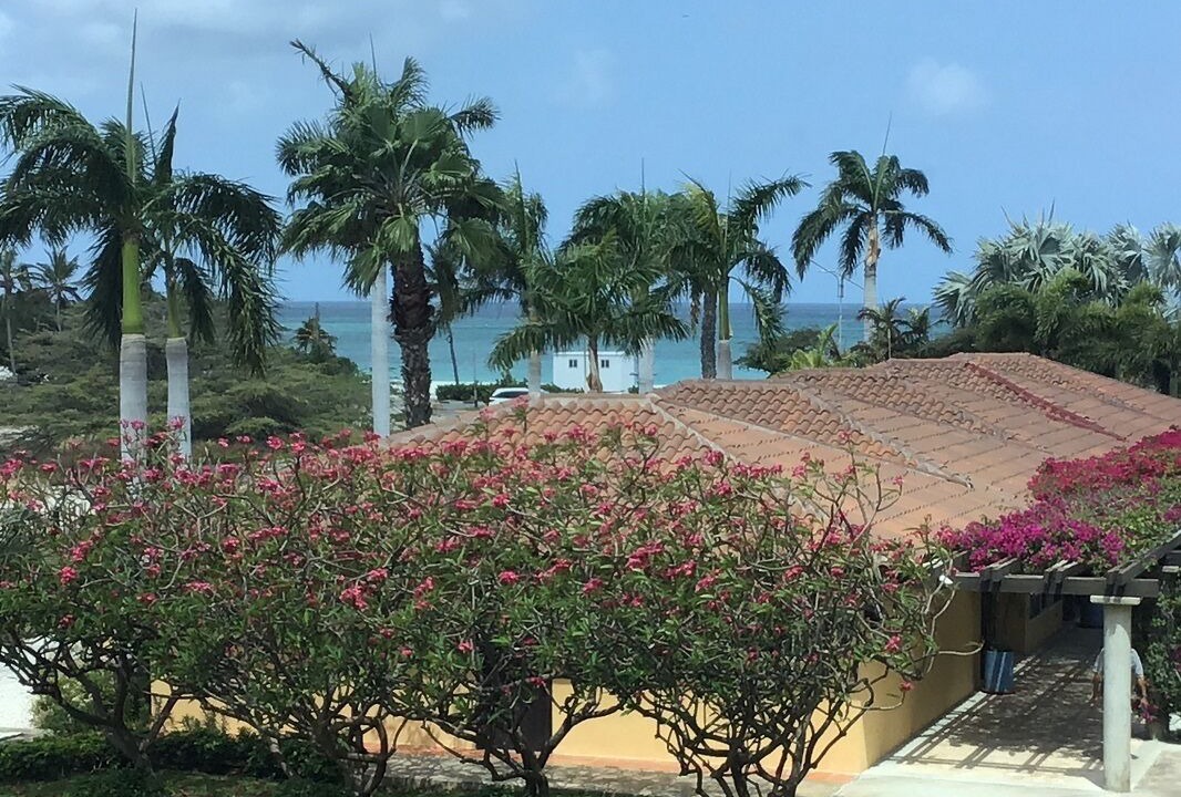 Photo of Outdoor in Oranjestad-West