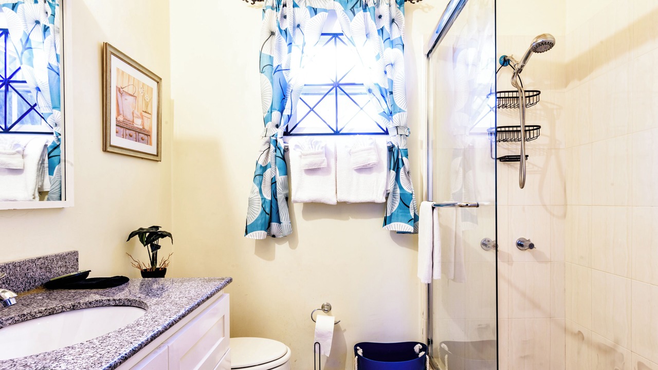 Photo of Bathroom in St. Ann's Bay