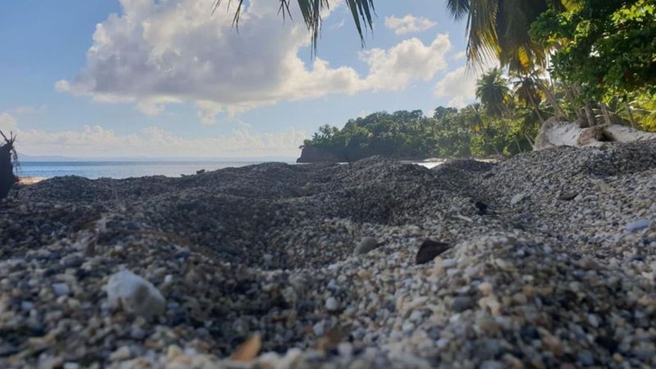 Photo of Others in Samana