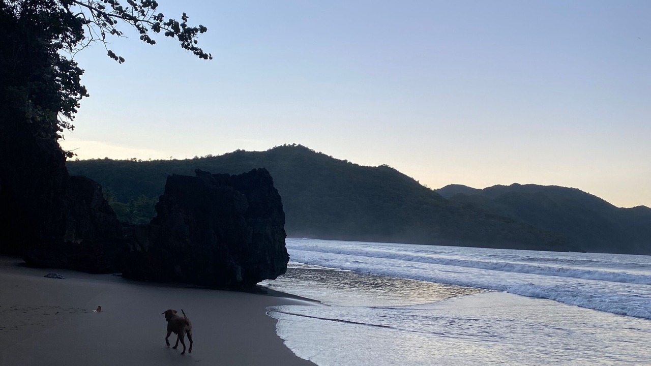 Photo of Others in Samana